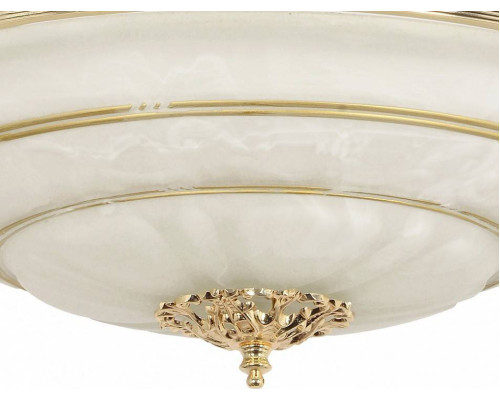 Люстра на штанге Arti Lampadari Pavia E 1.13.P40 G