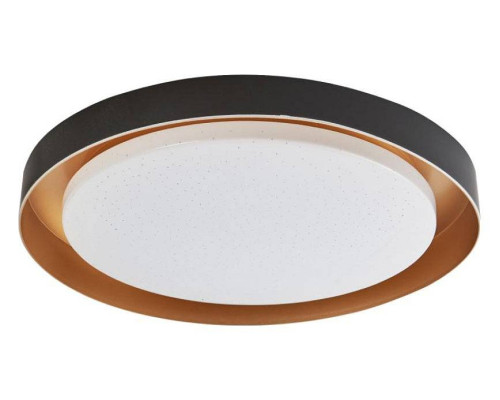 Накладной светильник Arti Lampadari Vista Vista L 1.13.48 B