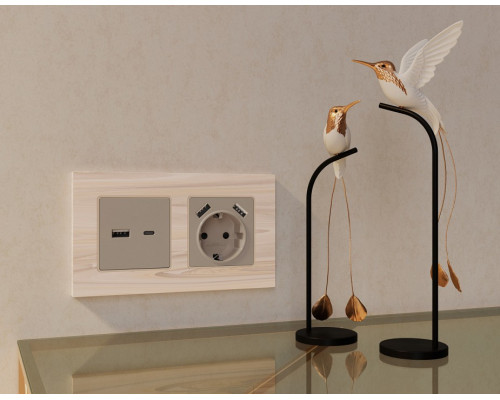 Накладка для розетки с заземлением и со шторками и 2хUSB type A Ambrella Volt Quant AP3690