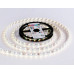 Лента светодиодная Ambrella Light GS GS2202