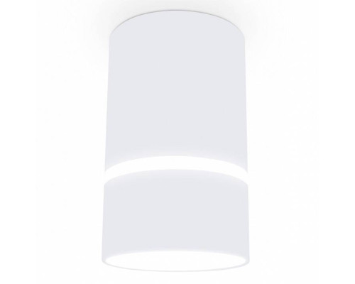 Накладной светильник Ambrella Light TN TN3411