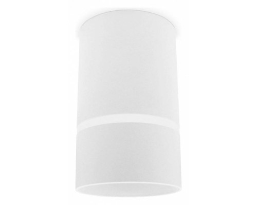 Накладной светильник Ambrella Light TN TN3411