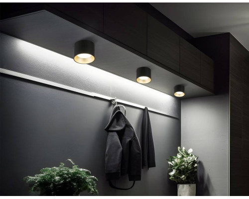 Накладной светильник Ambrella Light TN TN52887