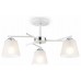 Светильник на штанге Ambrella Light TR TR303202