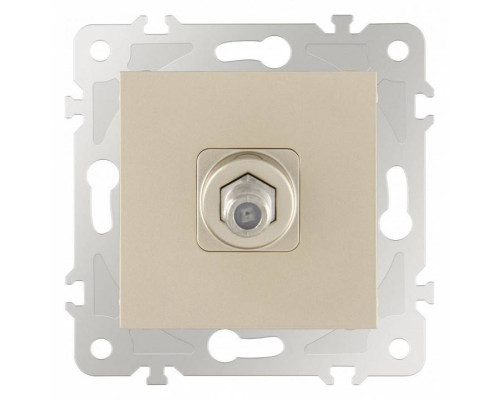 ТВ-розетка без рамки Arte Milano am-203 203.42-1.shampan