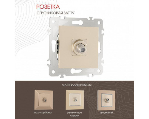 ТВ-розетка без рамки Arte Milano am-203 203.42-1.shampan