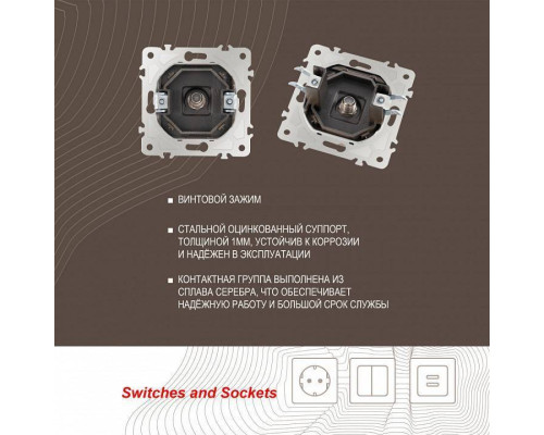 ТВ-розетка без рамки Arte Milano am-203 203.42-1.shampan