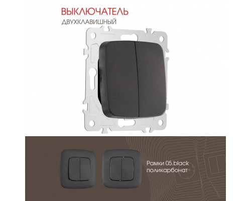 Выключатель двухклавишный без рамки Arte Milano 205 205.30-2.black