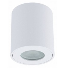 Накладной светильник Arte Lamp Tino A1469PL-1WH