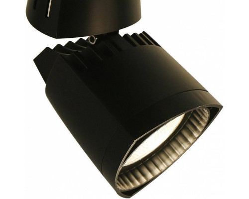 Светильник на штанге Arte Lamp 3830 A3830PL-1BK