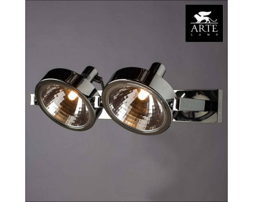 Светильник на штанге Arte Lamp Faccia A4507PL-2CC