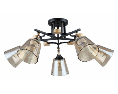 Люстра на штанге Arte Lamp Glassy A5078PL-5BK