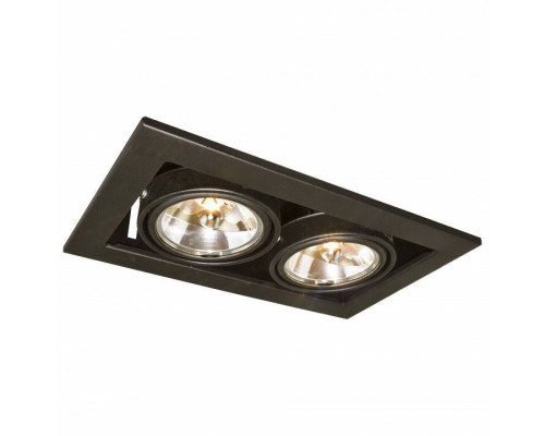 Встраиваемый светильник Arte Lamp Technika 2 A5930PL-2BK