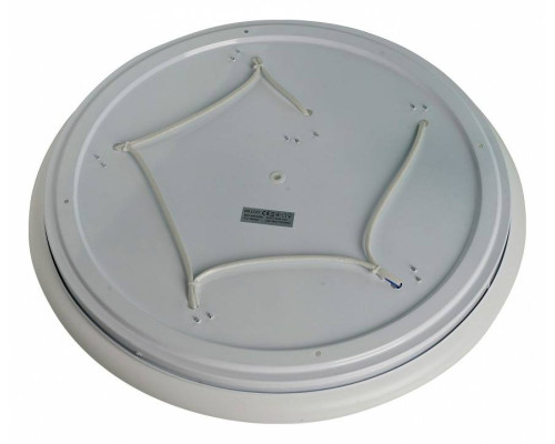 Накладной светильник Brizzi Ronda BR00568