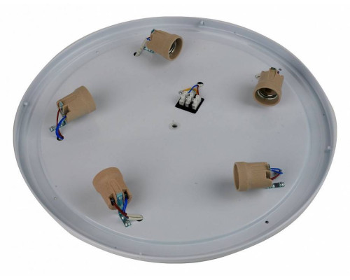 Накладной светильник Brizzi Ronda BR00568