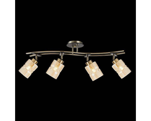 Спот Citilux Мерида CL142144