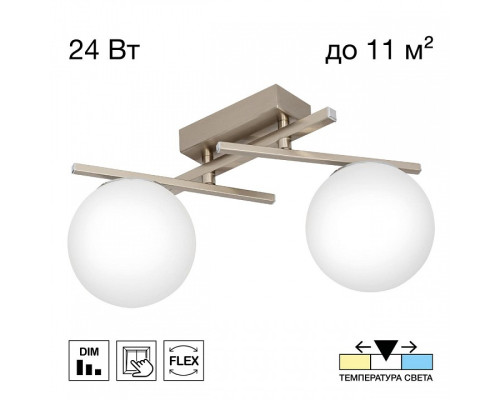 Накладной светильник Citilux DORSY CL223121