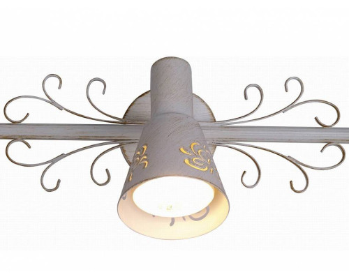 Спот Citilux Дункан CL529532