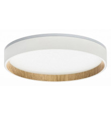 Накладной светильник Citilux Etalon CL750240