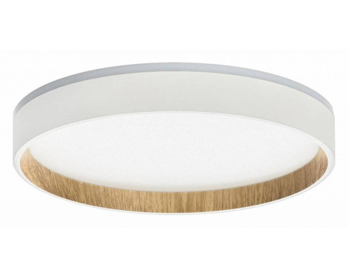 Накладной светильник Citilux Etalon CL750240