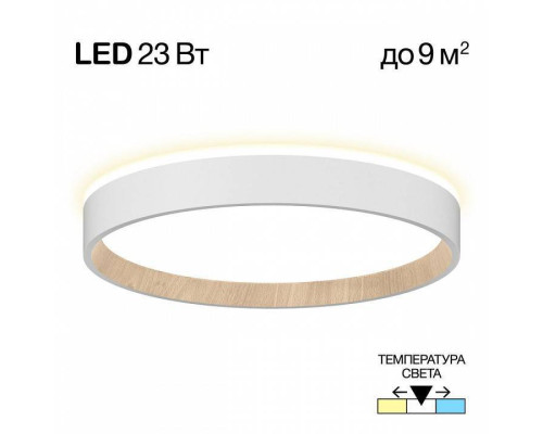 Накладной светильник Citilux Etalon CL750240