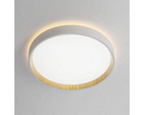 Накладной светильник Citilux Etalon CL750240