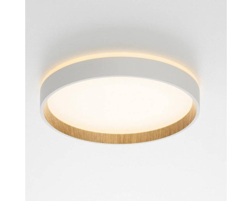 Накладной светильник Citilux Etalon CL750240