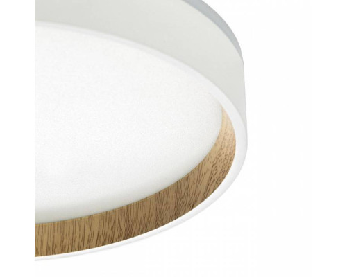 Накладной светильник Citilux Etalon CL750240