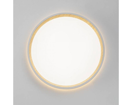 Накладной светильник Citilux Etalon CL750240