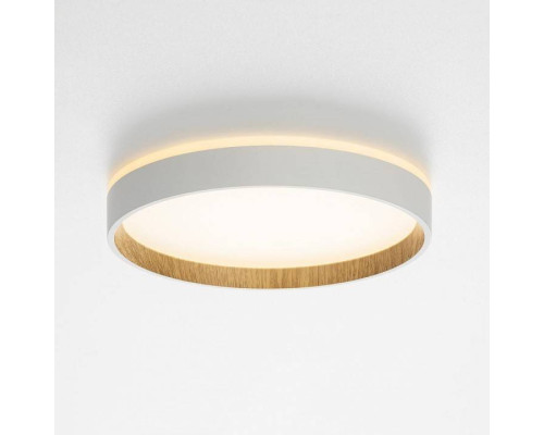 Накладной светильник Citilux Etalon CL750240