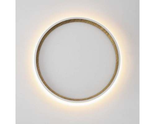 Накладной светильник Citilux Etalon CL750240