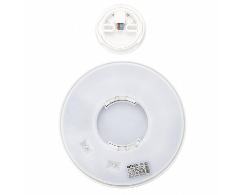 Накладной светильник Citilux Etalon CL750240