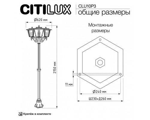 Фонарный столб Citilux FORTS CLU10P3