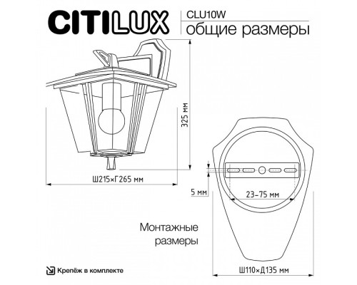 Светильник на штанге Citilux FORTS CLU10W