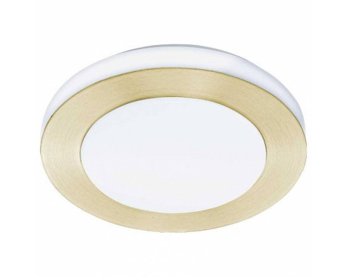 Накладной светильник Eglo Carpi LED 900369