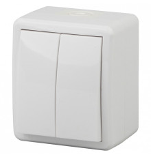 Выключатель двухклавишный Эра Эра Эксперт 11-1404-01