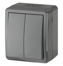 Выключатель двухклавишный Эра Эра Эксперт 11-1404-03