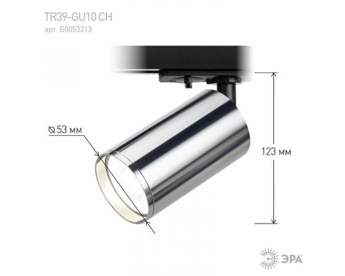 Светильник на штанге Эра  TR39-GU10 СН