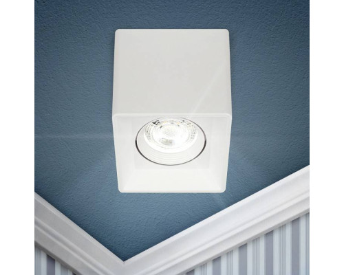 Накладной светильник Эра OL24-1 WH Б0054381