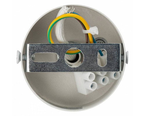 Светильник на штанге Эра OL43 WH Б0058489