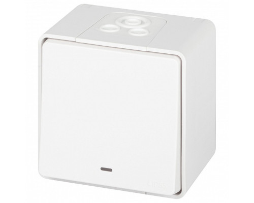 Переключатель одноклавишный с подсветкой Эра Эра Эксперт 11-1507-01