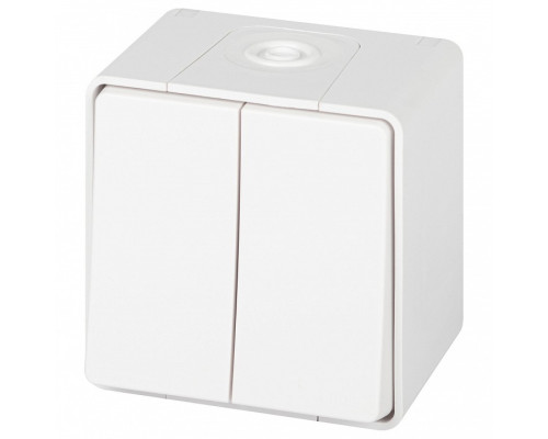 Выключатель двухклавишный Эра Эра Эксперт 11-1504-01