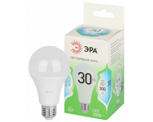 Лампа светодиодная Эра Green Line LED A65-30W-840-E27 GL