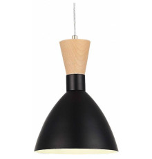 Подвесной светильник EVOLUCE VISTA SLE1256-403-01