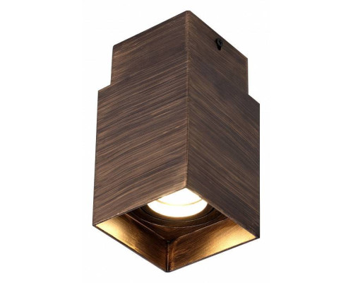 Накладной светильник Favourite Retro 2794-1C