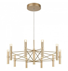 Подвесная люстра Favourite Blick 4759-10P