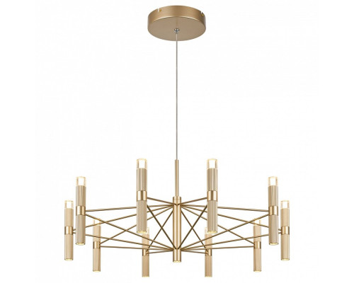 Подвесная люстра Favourite Blick 4759-10P