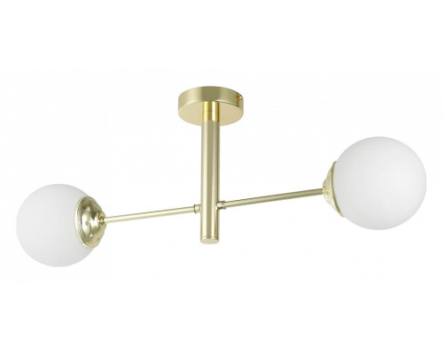 Светильник на штанге Lampit FINO TP 2007-2 GD