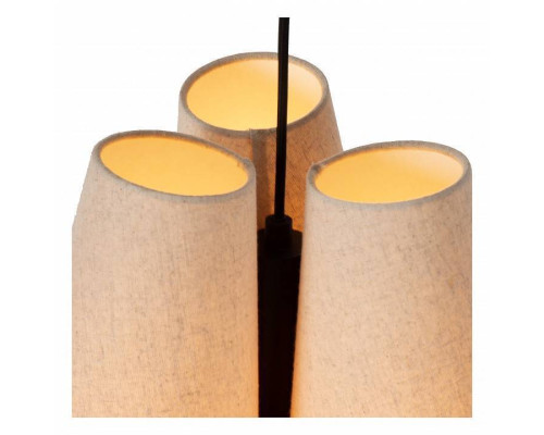 Подвесной светильник Lucide Gregory 30495/03/38