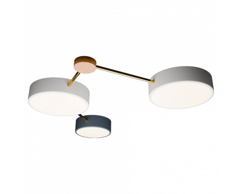 Потолочная люстра LIGHTERA Tizzo LE239PL-3WG